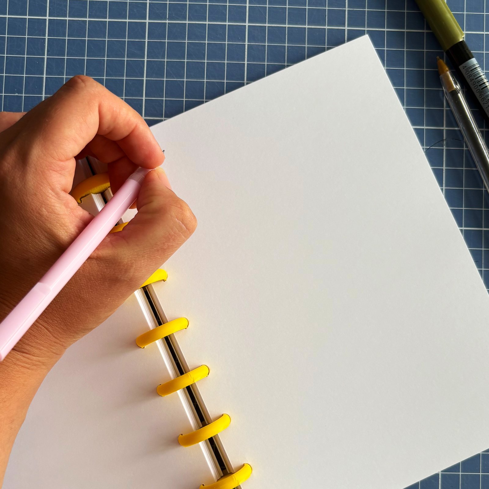Libreta ilustrada - Reina Vida - Imagen 5
