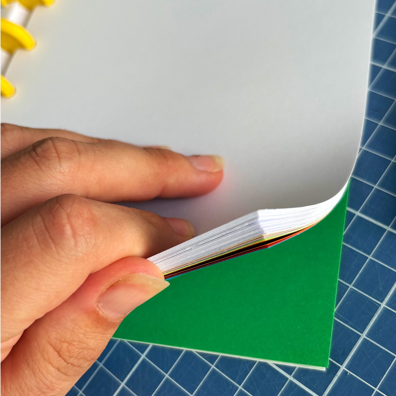 Libreta ilustrada - Reina Vida - Imagen 3
