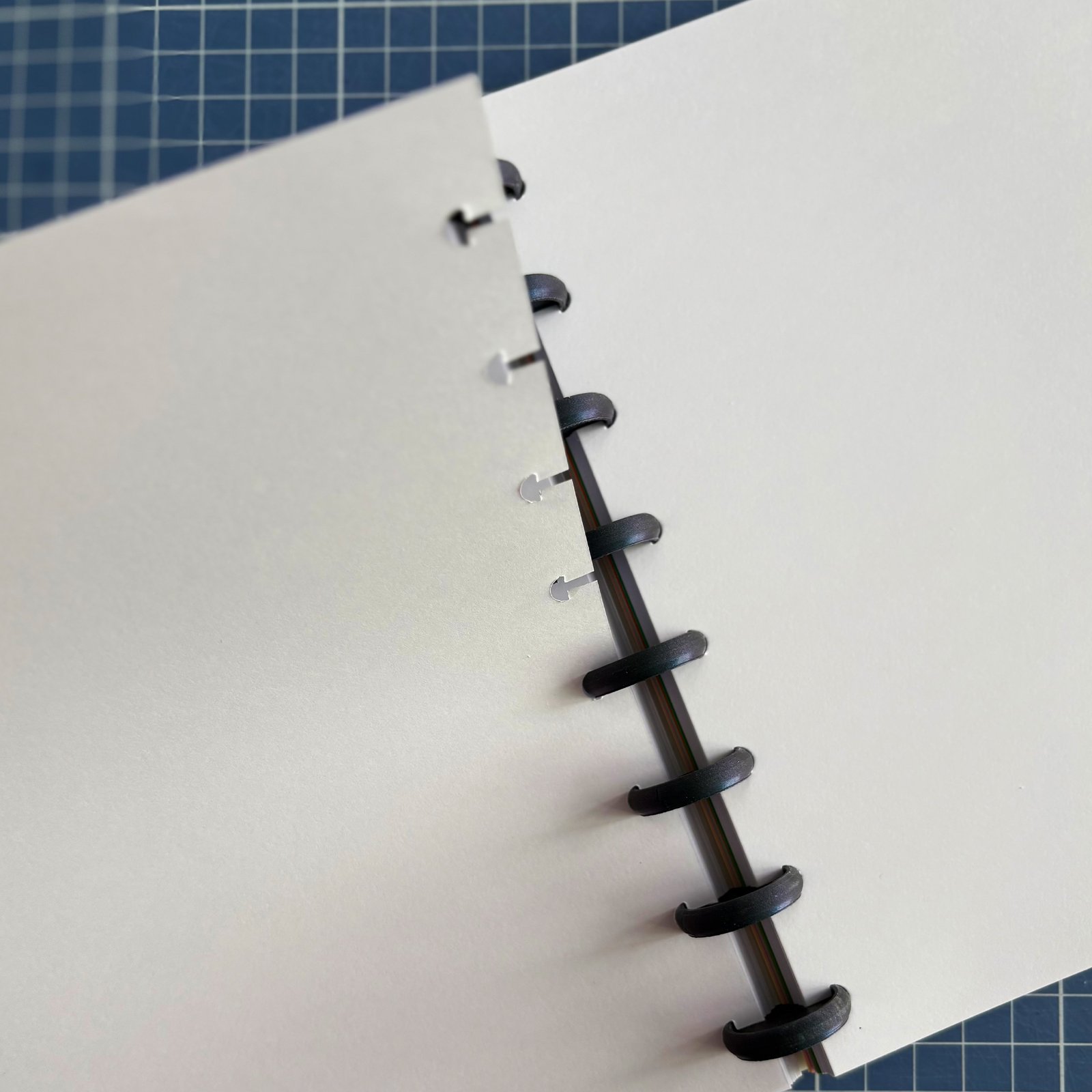 interior libreta hojas intercambiables